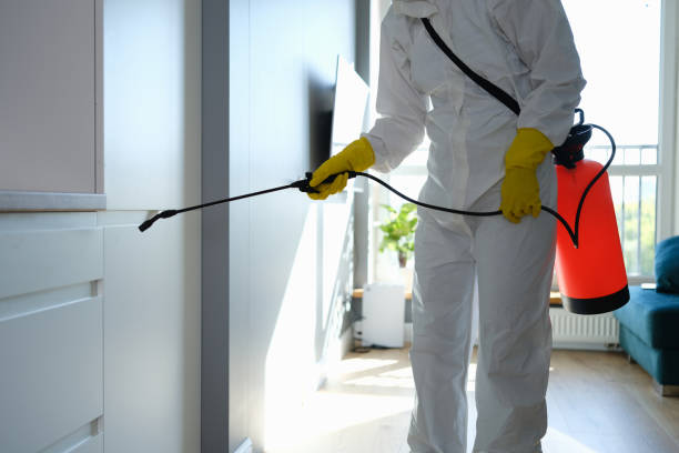 Mold Removal and Inspection in Wallingford Center, CT